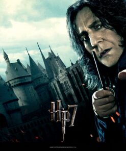 5d Harry Potter Diamond Painting Kit Premium-16