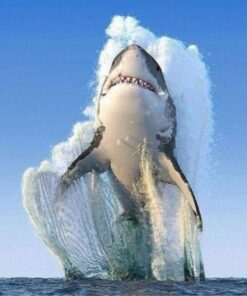 Shark Animals Diamond Painting Kit - DIY